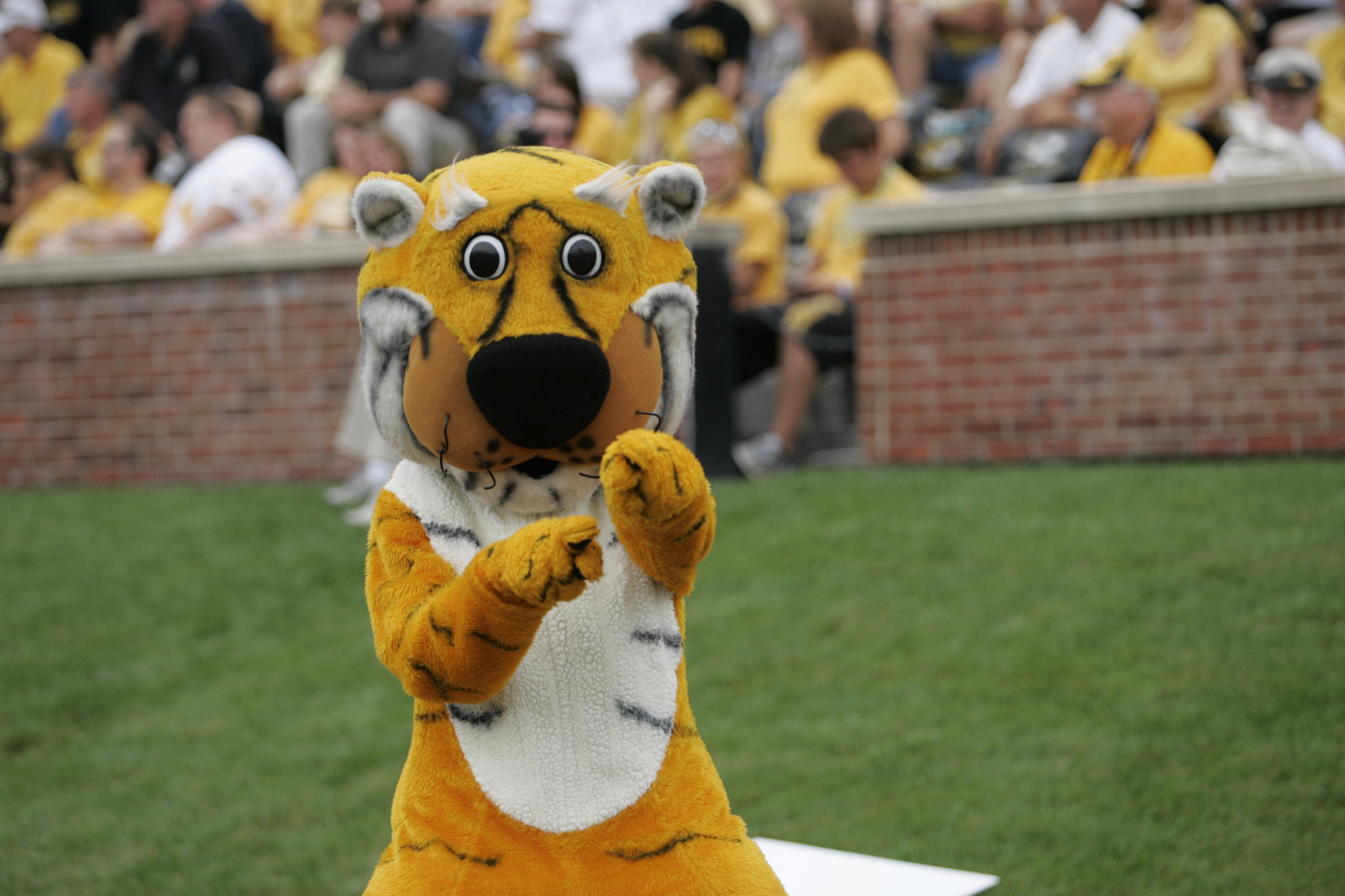 RMT Donors Give to Endowment on First Mizzou Giving Day