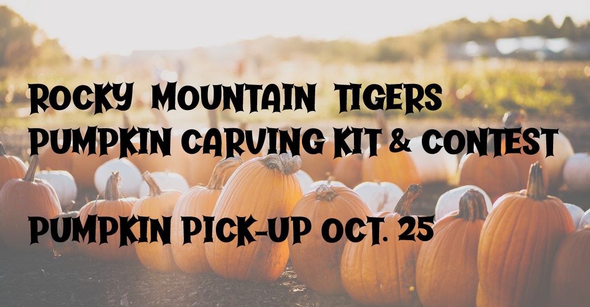 RMT Pumpkin & Carving Kit Pick-Up For Contest