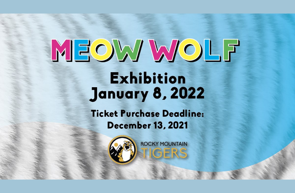Meow Wolf Exhibition